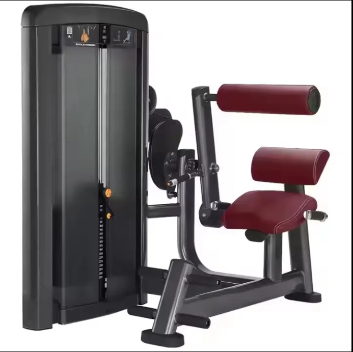 SN008 Back Extension Machine